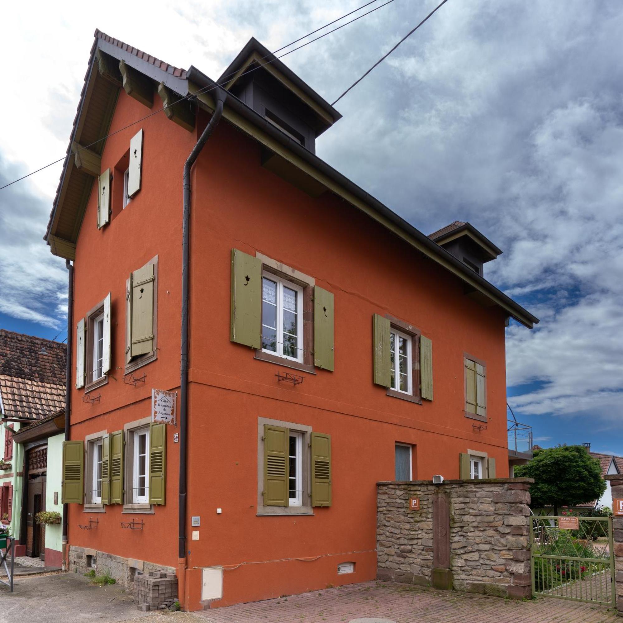 Appartement ' Le Lupulus' Bilwisheim Екстер'єр фото